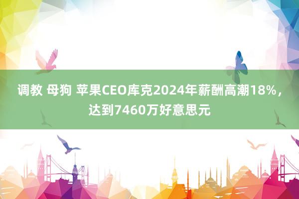 调教 母狗 苹果CEO库克2024年薪酬高潮18%，达到7460万好意思元