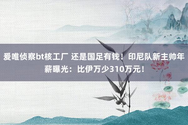 爰唯侦察bt核工厂 还是国足有钱！印尼队新主帅年薪曝光：比伊万少310万元！