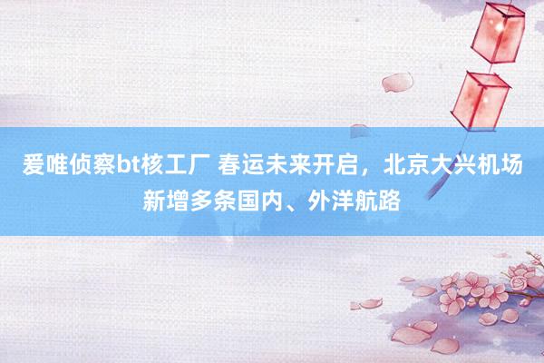 爰唯侦察bt核工厂 春运未来开启，北京大兴机场新增多条国内、外洋航路