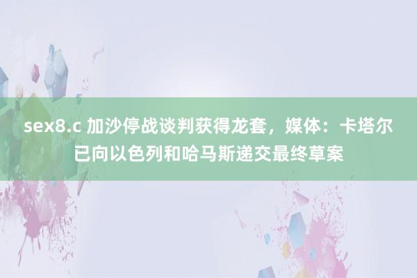 sex8.c 加沙停战谈判获得龙套，媒体：卡塔尔已向以色列和哈马斯递交最终草案