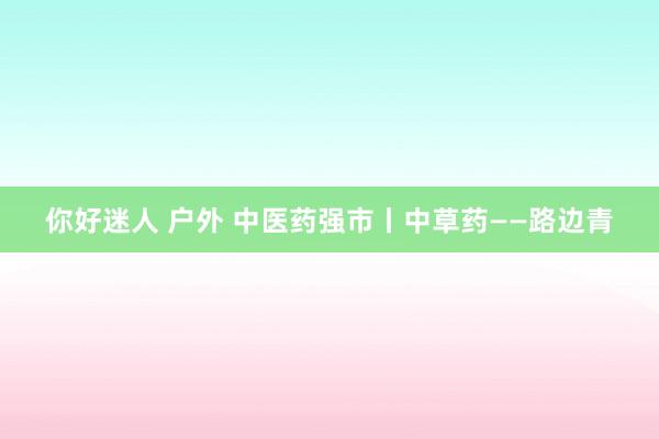 你好迷人 户外 中医药强市丨中草药——路边青