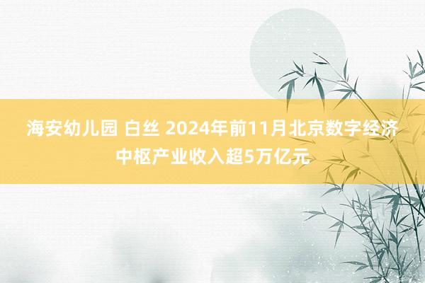 海安幼儿园 白丝 2024年前11月北京数字经济中枢产业收入超5万亿元